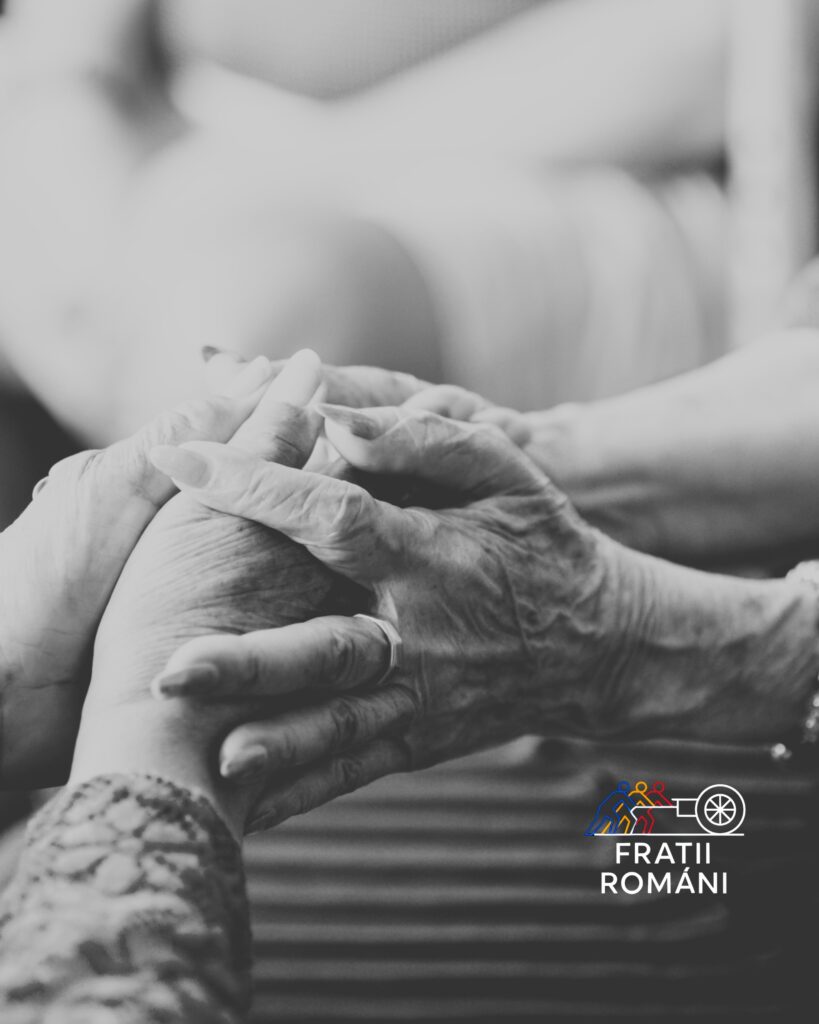 progetto senza titolo 11 progetto senza titolo 11